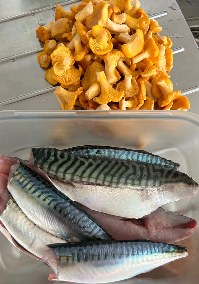 a fish in a container next to a pile of mushrooms