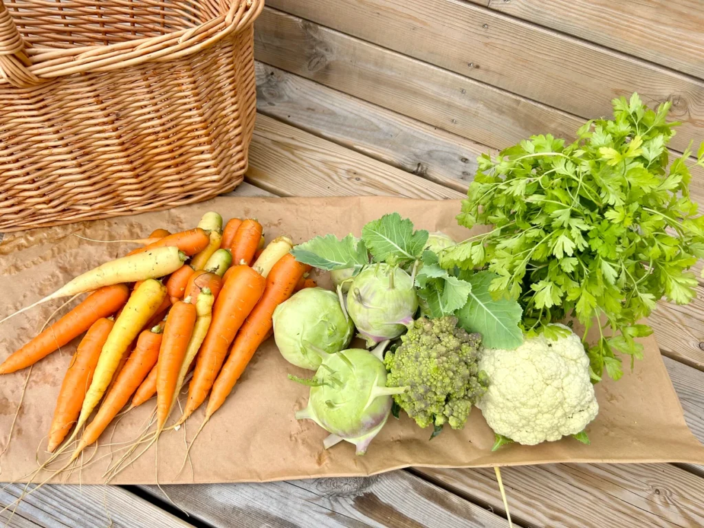 Fresh vegetables with carrots, kohlrabi, romanesco, cauliflower, and parsley on brown paper next to a wicker basket.