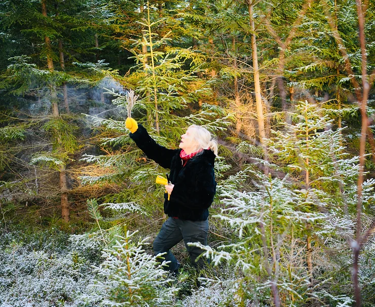 Person in a forest touching snow-covered pine branches, with yellow gloves.