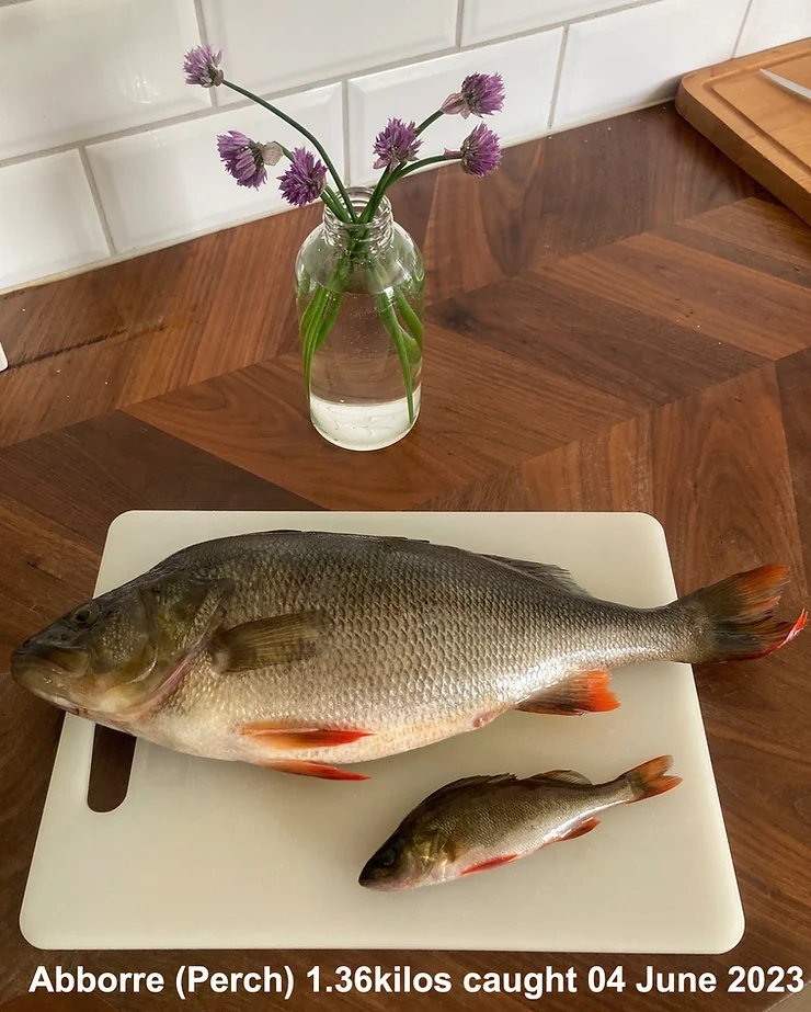 a fish on a cutting board next to a vase of flowers